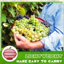 apple-shape-fruits-vegetables-basket-for-71FEEJyZWVL.jpg