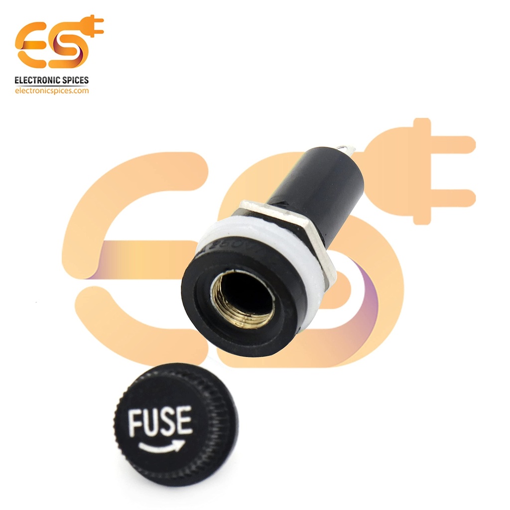electronic-spices-10a-250v-ac-6mm-x-30mm-61fVTb364BL.jpg