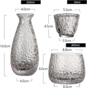 glass-sake-set-japanese-sake-pot-sake-cu-5.jpg