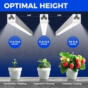 barrina-t5-grow-lights-for-indoor-plants-3.jpg