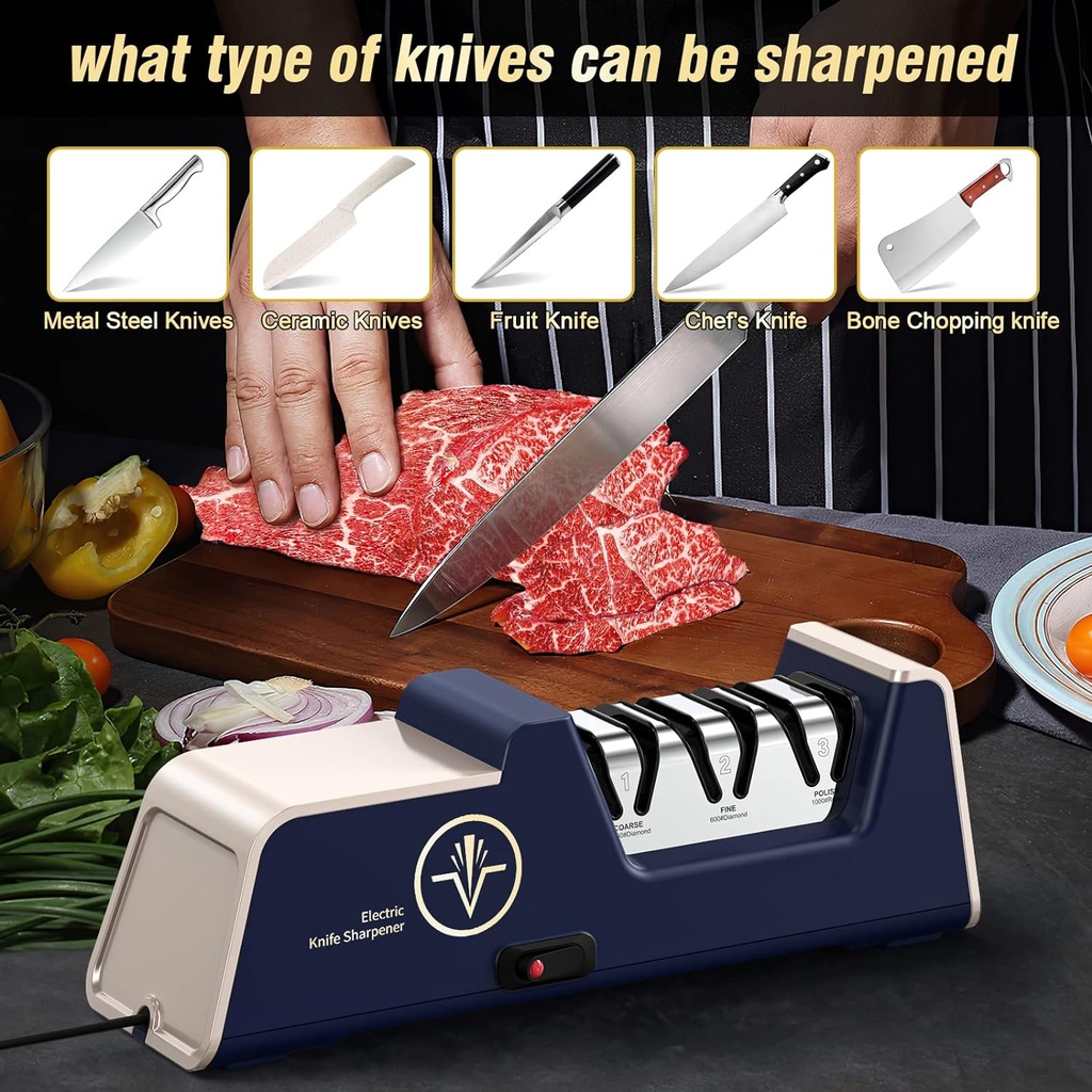 professional-electric-knife-sharpener-wi-2.jpg
