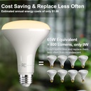 volivo-led-flood-light-bulb-12-pack-rece-3.jpg
