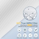 filter-replacement-for-hynik-alviera-hh0-4.jpg