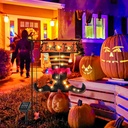 halloween-trick-or-treat-graden-flag-lig-2.jpg