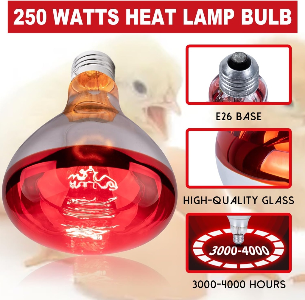 250-watt-heat-lamp-bulbs-for-chicks-r40--3.jpg