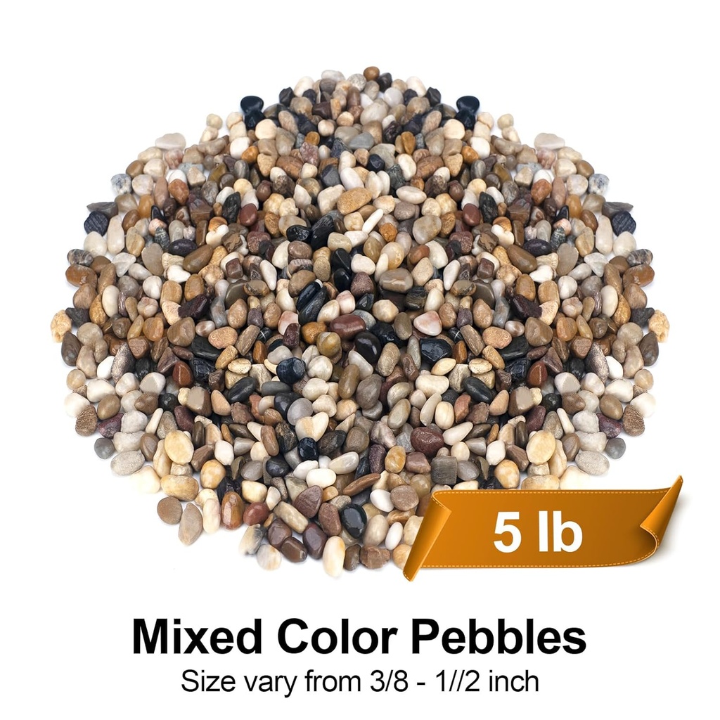 5-lbs-pebbles-for-indoor-plants-succulen-2.jpg