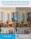 a19-led-light-bulb-9w-e26-lighting-bulbs-5.jpg
