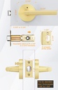 goldenwarm-gold-door-handles-interior-zi-6.jpg