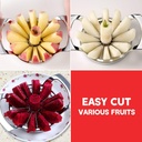 stainless-steel-apple-slicer-and-corer---3.jpg