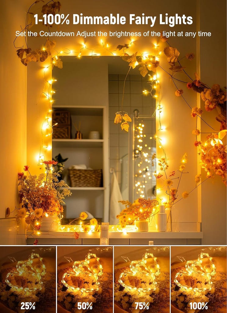 minetom-twinkle-fairy-lights-33-ft-100-l-5.jpg