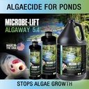 microbe-lift-alga08-algaway-54-algae-con-2.jpg