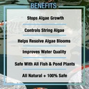 microbe-lift-alga08-algaway-54-algae-con-3.jpg