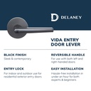 delaney-hardware-vida-entry-door-lock-wi-2.jpg