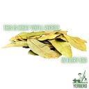 yerbero---whole-dried-graviola-soursop-l-2.jpg