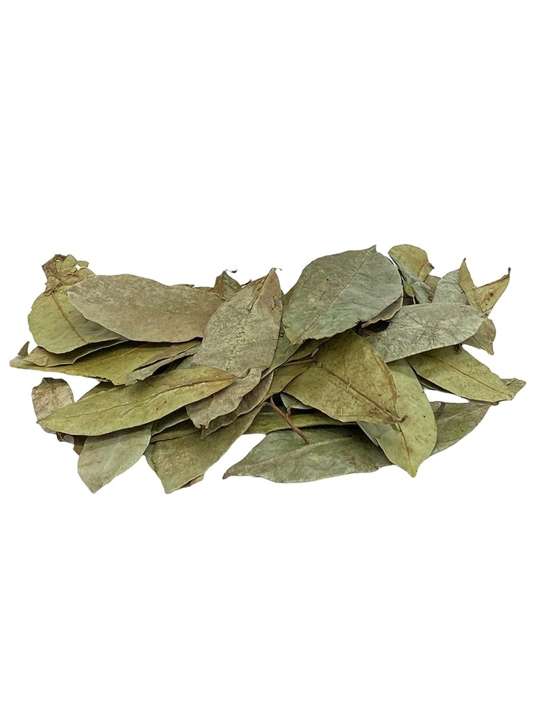 yerbero---whole-dried-graviola-soursop-l-3.jpg