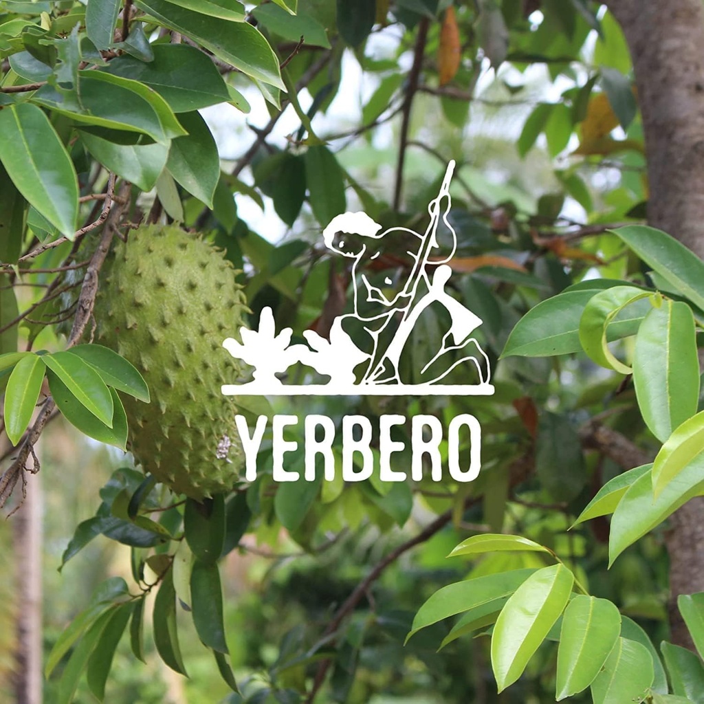 yerbero---whole-dried-graviola-soursop-l-4.jpg