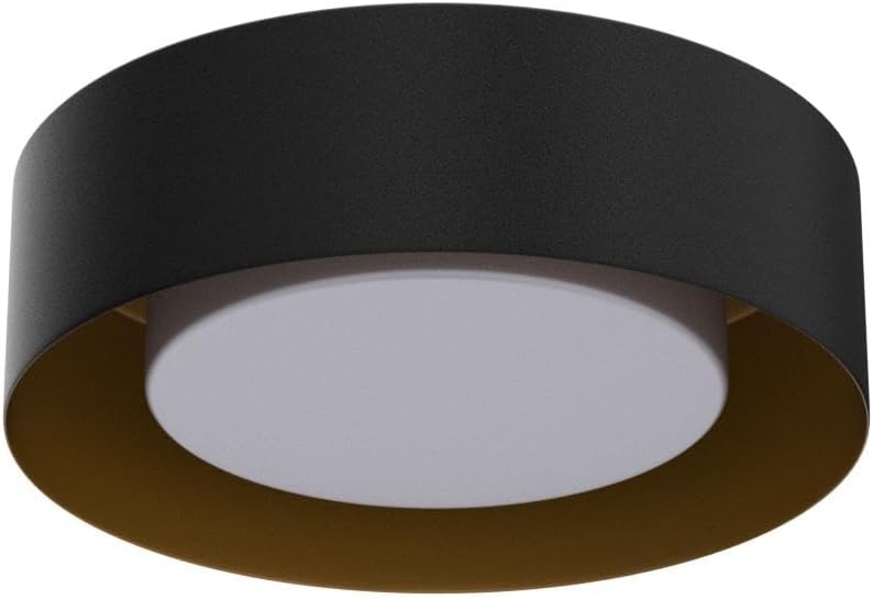 modern-black-and-gold-flush-mount-ceilin-4.jpg