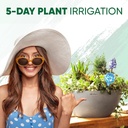 plant-watering-globes-set-of-6-large-gla-5.jpg