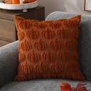 dfxsz-fall-pillow-covers-18x18-set-of-2--3.jpg