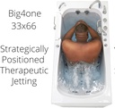 ella-big4one-33x66-walk-in-bathtub-air-h-5.jpg