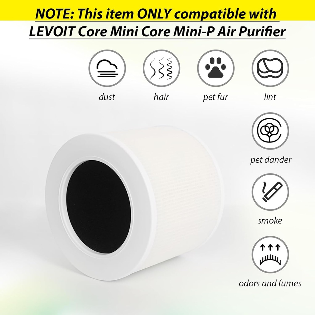 core-mini-p-replacement-filter-for-levoi-2.jpg