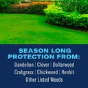 bioadvanced-season-long-lawn-weed-killer-2.jpg