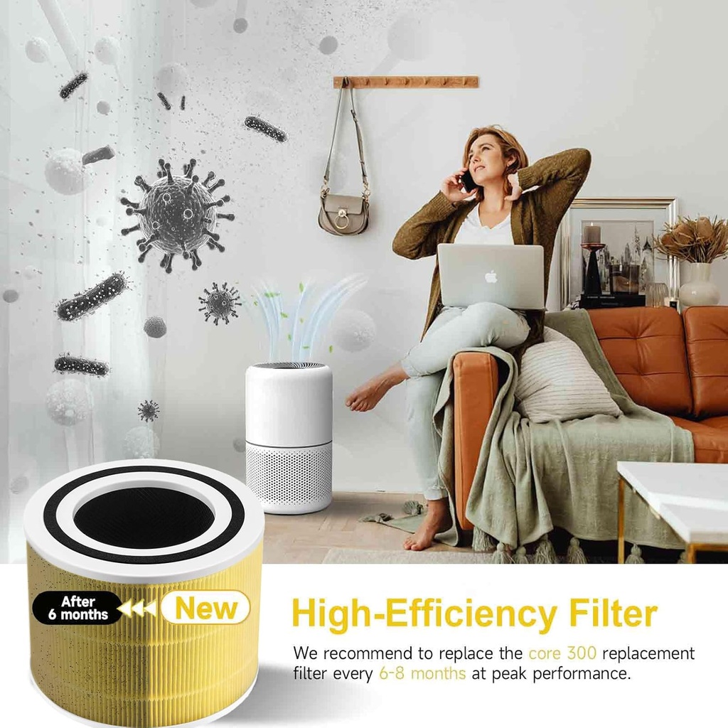 core-300-air-purifier-replacement-hepa-f-5.jpg