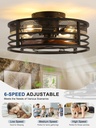 zyd-caged-ceiling-fans-with-lights-and-r-2.jpg
