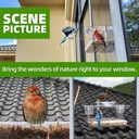 window-bird-feeder-with-non-marking-self-6.jpg