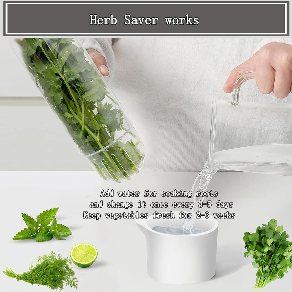 herb-saver-for-refrigerator-fresh-herbs--4.jpg