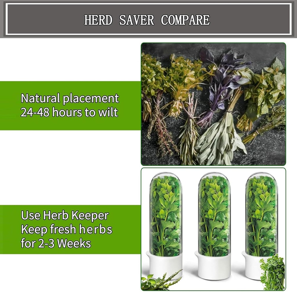 herb-saver-for-refrigerator-fresh-herbs--6.jpg