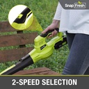 snapfresh-cordless-leaf-blower---20v-ele-5.jpg