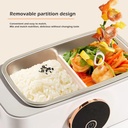 portable-electric-lunch-box-60w-cordless-3.jpg