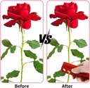 rose-thorn-remover-kit-2pc-silicone-rose-4.jpg