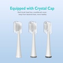 replacement-brush-heads-for-waterpik-son-6.jpg
