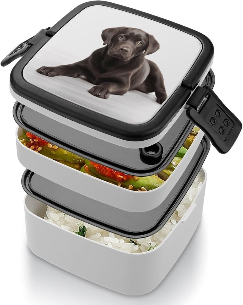 dog-bento-box-double-layer-lunch-box-for-4.jpg