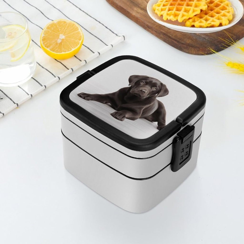 dog-bento-box-double-layer-lunch-box-for-6.jpg