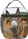 Funny Donkey Reusable Lunch Bag Lunch Box Kids,Kids Lunch Box For Girls Boys,Insulated Lunch Bag For Kid,Easy-To-Clean Bento Box Bento Bag,Loncheras Lunchbox For Work/School/Picnic