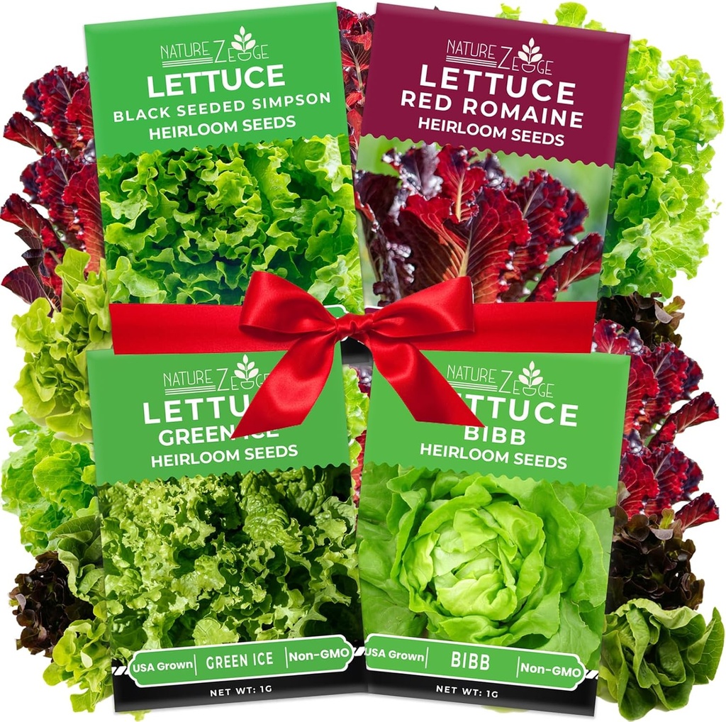 Lettuce Seeds for Planting, Red Romaine Lettuce, Bibb Butter Lettuce, Black Seeded Simpson, Green Ice Iceberg Lettuce, Non-GMO…