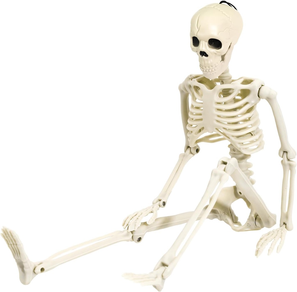 36" Skeleton Halloween Decoration, 3FT Full Body Posable Skeleton Realistic Human Bones with Posable Joints for Halloween Pose Prop Decor Yard Lawn Garden Patio Outdoor Haunted House Decorations