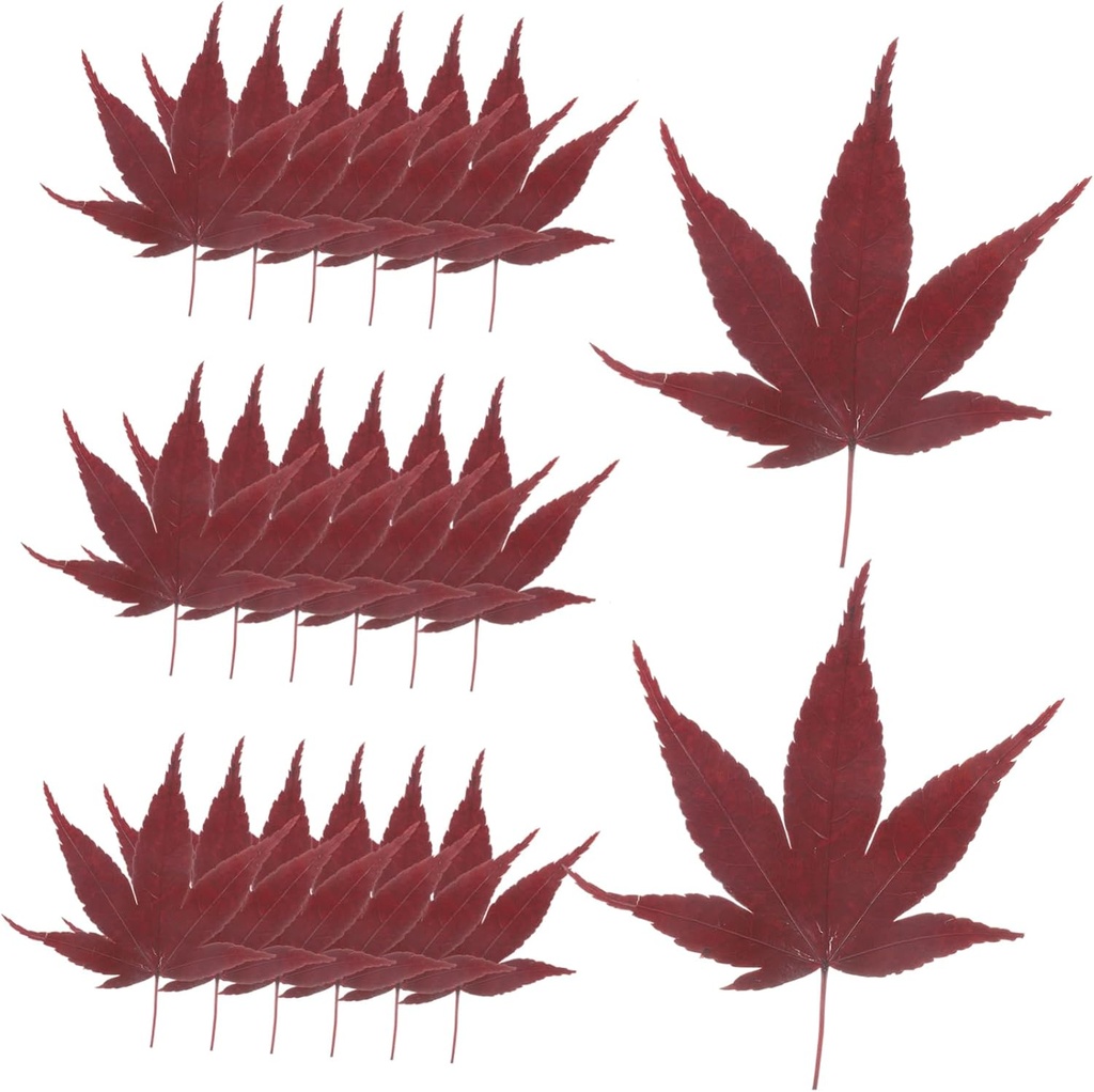 30pcs Sushi Bamboo Leaves Tray Sashimi Backdrop Japanese Sushi Tray Decor Leaf Decor Serving Leaf s s Sashimi Dispenser Maple Food