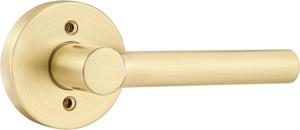 Leydebong 1 Pack Heavy Duty Dummy Handle, Gold Dummy Door Handles Single Side Door Lever for Closet French Door, No-Functioning Pull Only Door Handles