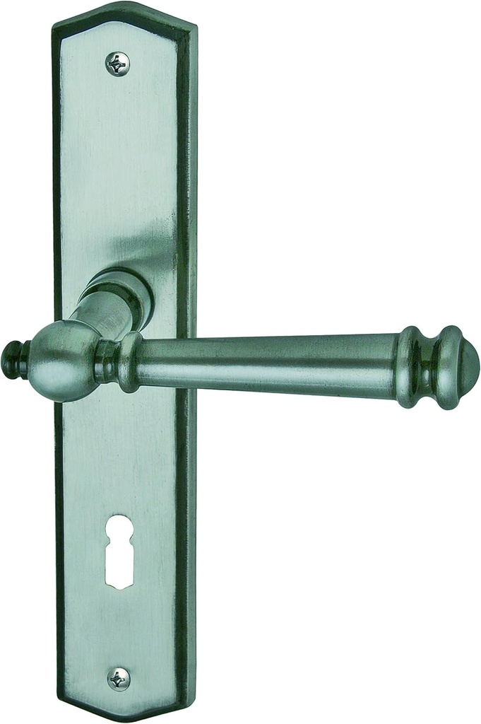 Mount Blance LS Brass Coloured – for Interior Doors Door Handle Set Door Fittings Door Handle, Steel Grey, 32873003