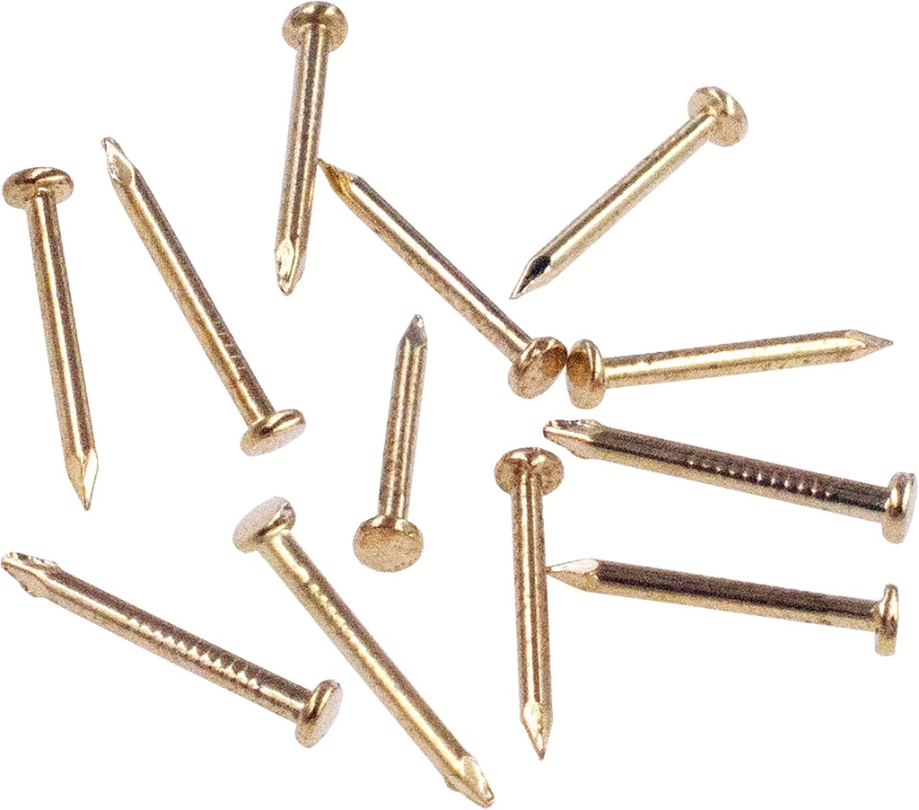 OMOTOOL Hardware Nail Assortment Kit (300pcs), Brass Plated Nails for Hanging Pictures (15MM)