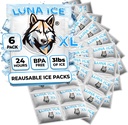 LUNA ICE Dry Ice Packs for Shipping XL - Long lasting ice packs - 24+ Hour Freeze Power - BPA Free - 6 Pack Bulk 3 lb – Hielo Seco - Reusable Gel Bricks for Food