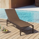 Patio Aluminum Chaise Lounge Chair, Outdoor Recliner Lounge Chair Sun Loungers, All Weather Chaise with 5 Adjustable Backrest and Lay Flat Positions for Garden, Balcony, Pool