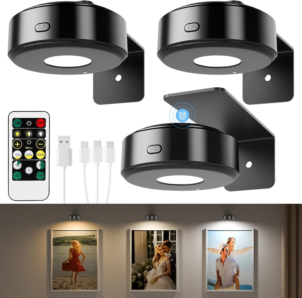 3PCS Picture Lights, Rechargeable Battery Wall Light for Paintings, 3 Colors Paintings Light Dimmable and Timer Metal Art Light for Display, Wall, Artwork, Gallery (Black)
