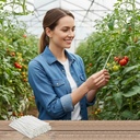 Pollinator Brush for Plants,Hand Pollination Tool for Garden,Fruit Trees,Flowers & Vegetables | Essential Pollinator Garden Accessories,100PCS(White)