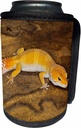 Can Cooler Bottle Wrap - Leopard Gecko morph, Lizard, Pakistan-AS28 AJE0001 - Adam Jones Lizards