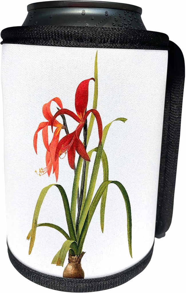 Can Cooler Bottle Wrap - Redoute Vintage Watercolor Floral Jacobean Lily Amaryllis Formoissima Redoute Fruits and Flowers